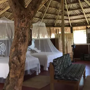 Moringa Ingadi Treasure Beach